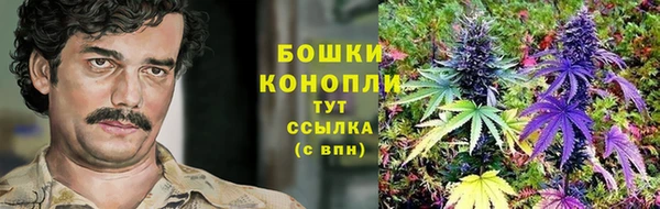 прущие крисы Бородино